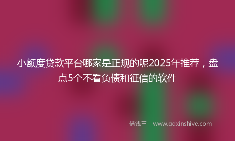 小额度贷款平台哪家是正规的呢2025年推荐，盘点5个不看负债和征信的软件