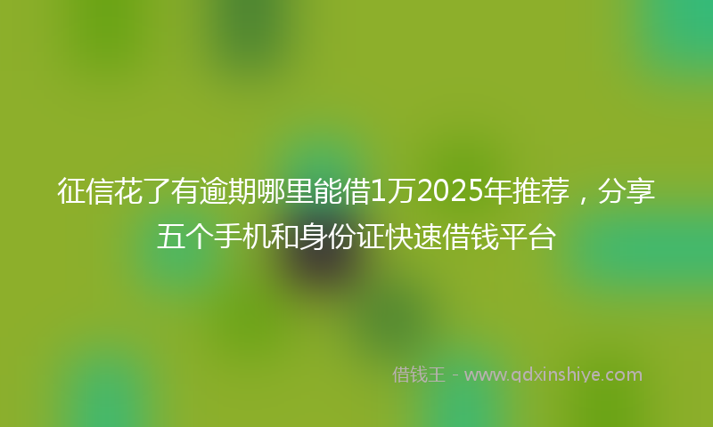 征信花了有逾期哪里能借1万2025年推荐，分享五个手机和身份证快速借钱平台