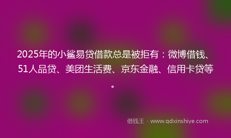 2025年的小鲨易贷借款总是被拒有：微博借钱、51人品贷、美团生活费、京东金融、信用卡贷等。
