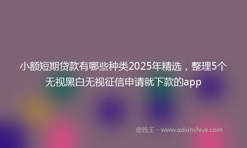 小额短期贷款有哪些种类2025年精选，整理5个无视黑白无视征信申请就下款的app