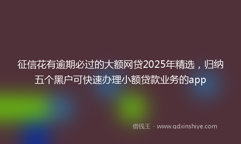 征信花有逾期必过的大额网贷2025年精选，归纳五个黑户可快速办理小额贷款业务的app