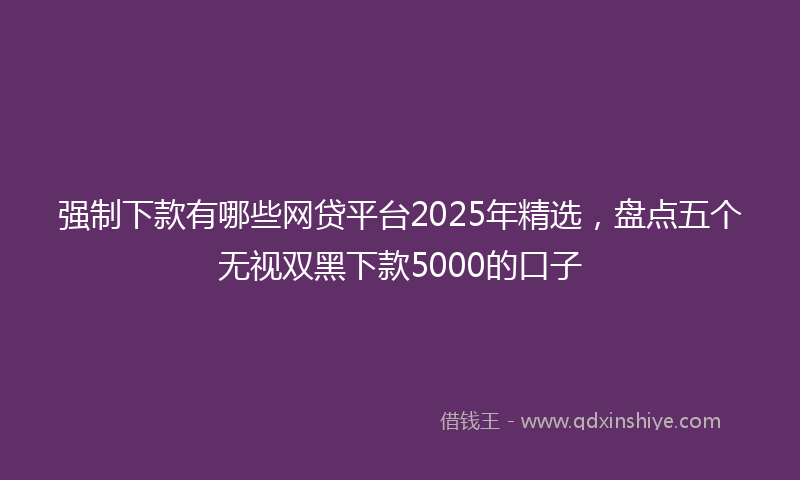 强制下款有哪些网贷平台2025年精选，盘点五个无视双黑下款5000的口子