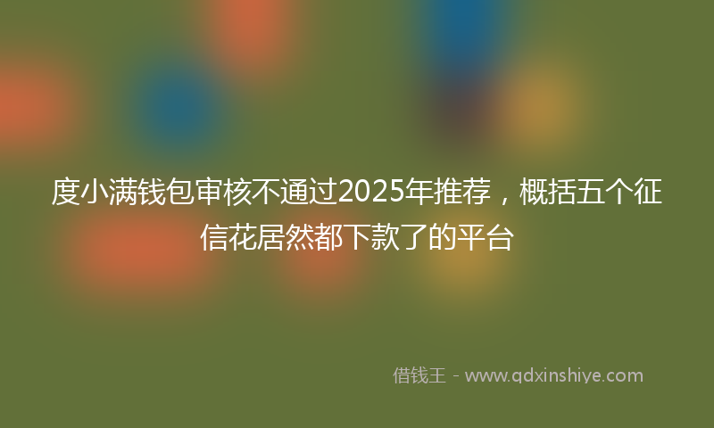 度小满钱包审核不通过2025年推荐，概括五个征信花居然都下款了的平台