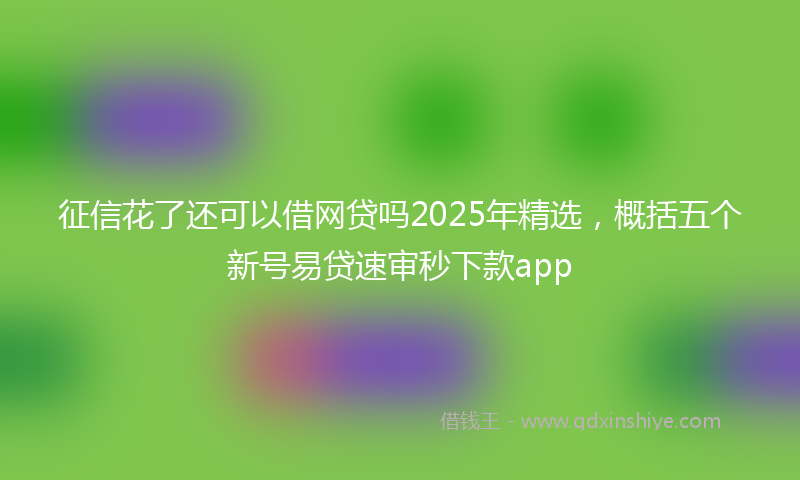 征信花了还可以借网贷吗2025年精选，概括五个新号易贷速审秒下款app