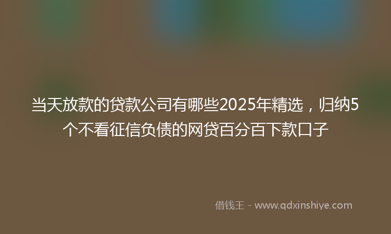 当天放款的贷款公司有哪些2025年精选，归纳5个不看征信负债的网贷百分百下款口子