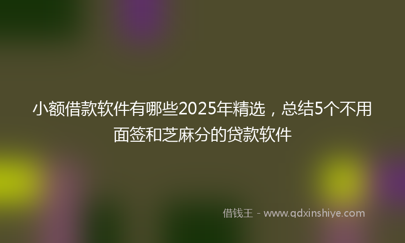 小额借款软件有哪些2025年精选，总结5个不用面签和芝麻分的贷款软件