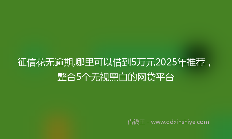 征信花无逾期,哪里可以借到5万元2025年推荐，整合5个无视黑白的网贷平台