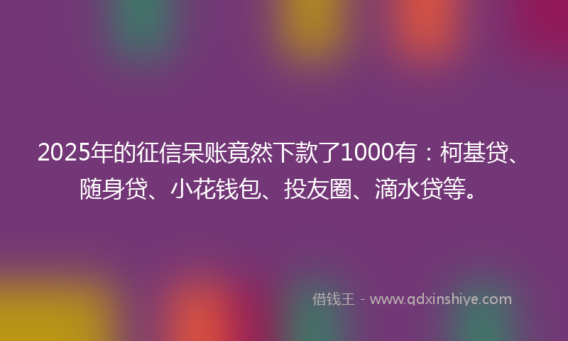 2025年的征信呆账竟然下款了1000有：柯基贷、随身贷、小花钱包、投友圈、滴水贷等。