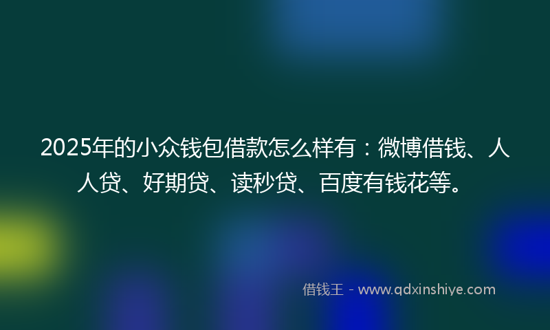 2025年的小众钱包借款怎么样有：微博借钱、人人贷、好期贷、读秒贷、百度有钱花等。