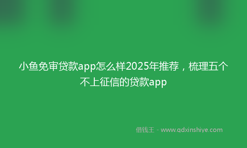小鱼免审贷款app怎么样2025年推荐，梳理五个不上征信的贷款app