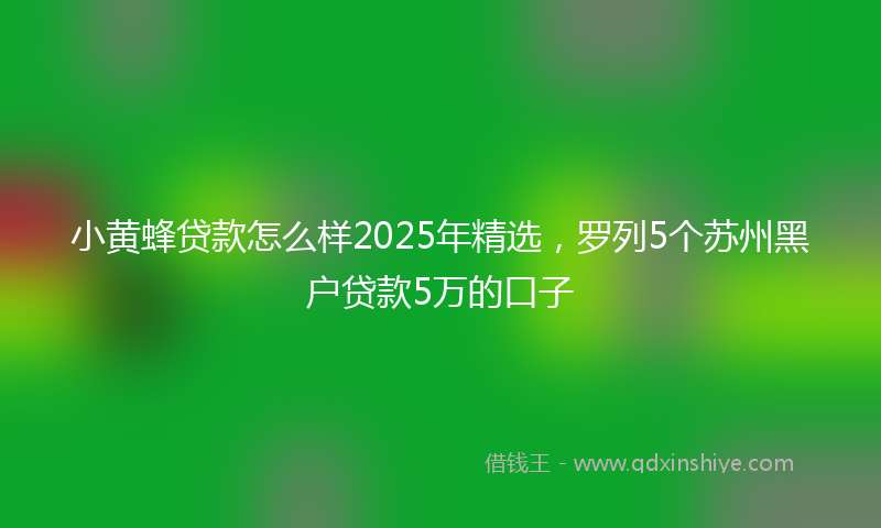 小黄蜂贷款怎么样2025年精选，罗列5个苏州黑户贷款5万的口子