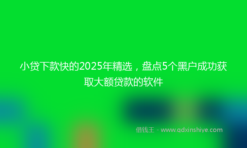 小贷下款快的2025年精选，盘点5个黑户成功获取大额贷款的软件