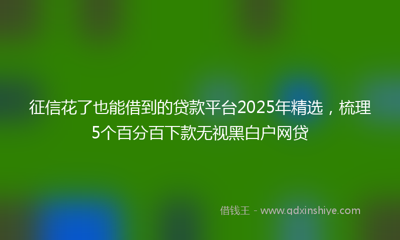 征信花了也能借到的贷款平台2025年精选，梳理5个百分百下款无视黑白户网贷