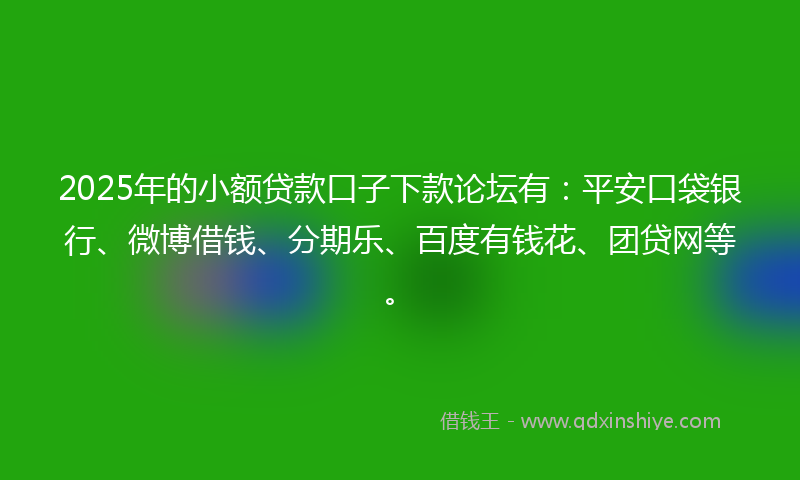 2025年的小额贷款口子下款论坛有：平安口袋银行、微博借钱、分期乐、百度有钱花、团贷网等。