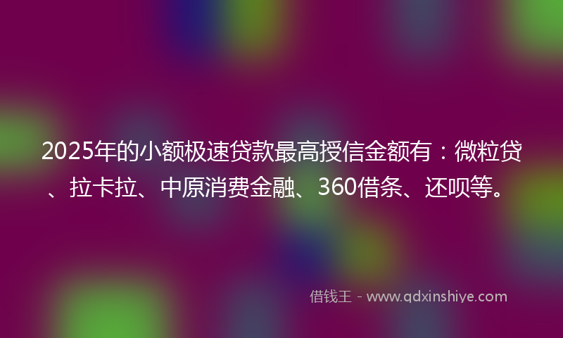 2025年的小额极速贷款最高授信金额有：微粒贷、拉卡拉、中原消费金融、360借条、还呗等。