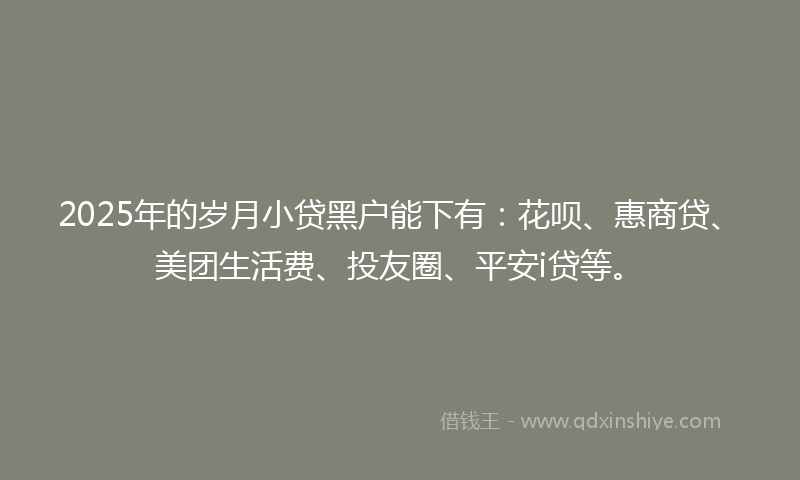 2025年的岁月小贷黑户能下有：花呗、惠商贷、美团生活费、投友圈、平安i贷等。