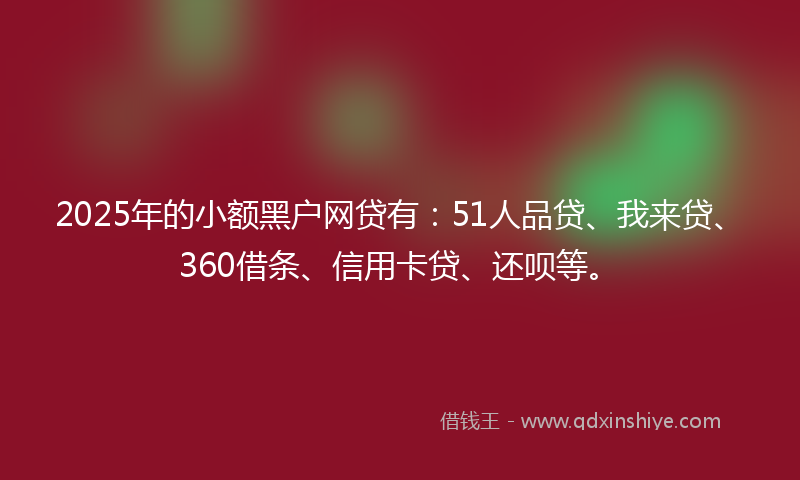 2025年的小额黑户网贷有：51人品贷、我来贷、360借条、信用卡贷、还呗等。