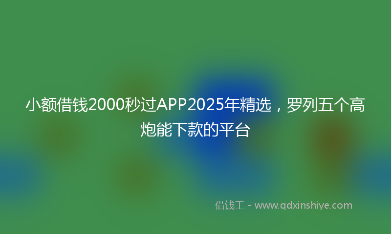 小额借钱2000秒过APP2025年精选，罗列五个高炮能下款的平台
