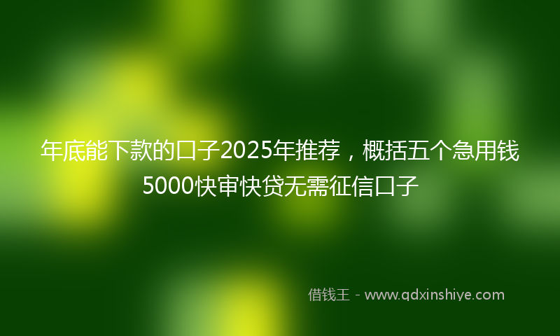 年底能下款的口子2025年推荐，概括五个急用钱5000快审快贷无需征信口子