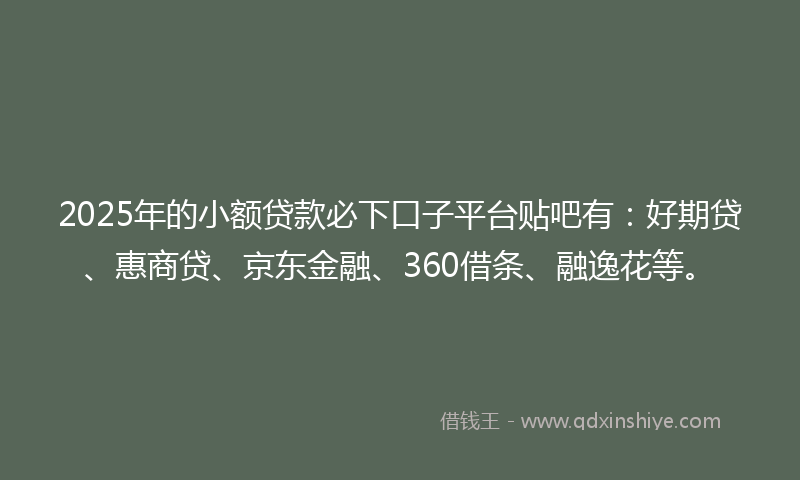 2025年的小额贷款必下口子平台贴吧有：好期贷、惠商贷、京东金融、360借条、融逸花等。