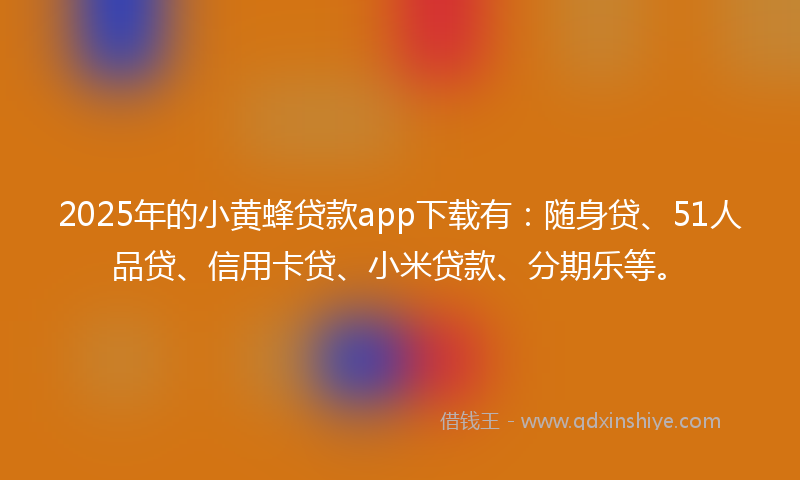 2025年的小黄蜂贷款app下载有：随身贷、51人品贷、信用卡贷、小米贷款、分期乐等。