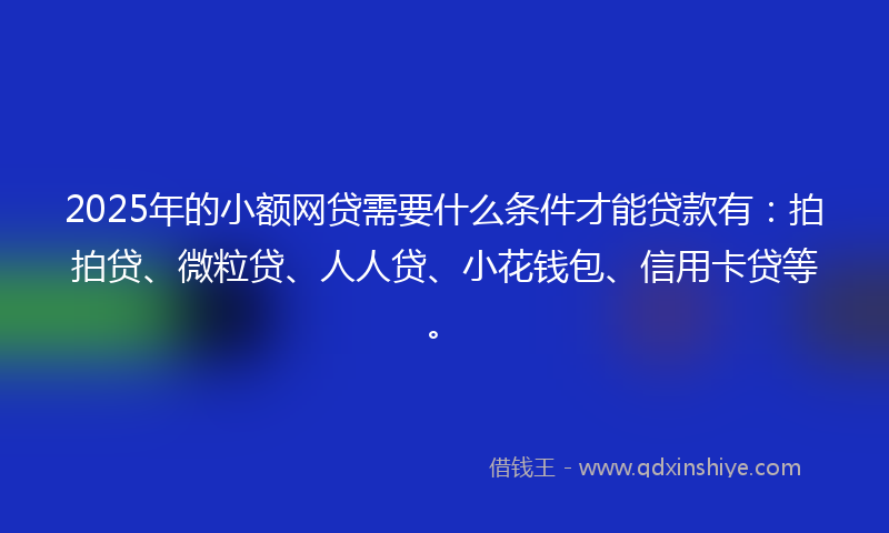 2025年的小额网贷需要什么条件才能贷款有：拍拍贷、微粒贷、人人贷、小花钱包、信用卡贷等。