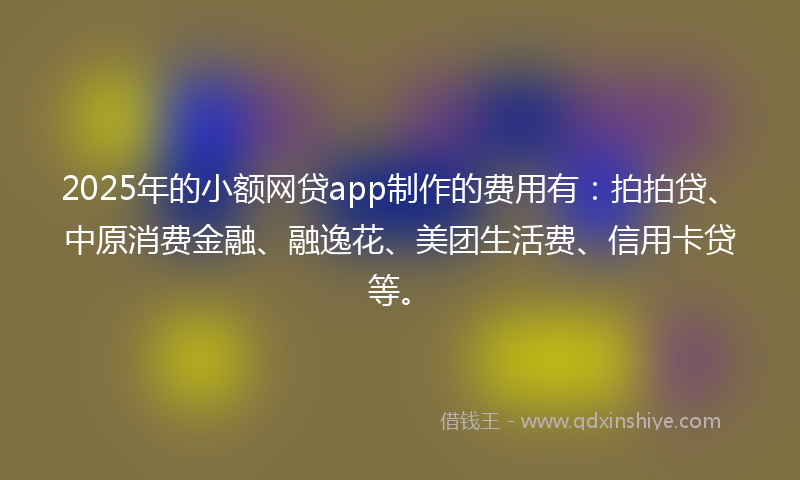 2025年的小额网贷app制作的费用有：拍拍贷、中原消费金融、融逸花、美团生活费、信用卡贷等。