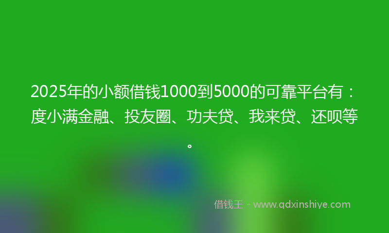 2025年的小额借钱1000到5000的可靠平台有：度小满金融、投友圈、功夫贷、我来贷、还呗等。