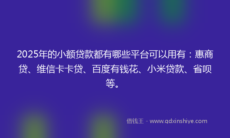 2025年的小额贷款都有哪些平台可以用有：惠商贷、维信卡卡贷、百度有钱花、小米贷款、省呗等。