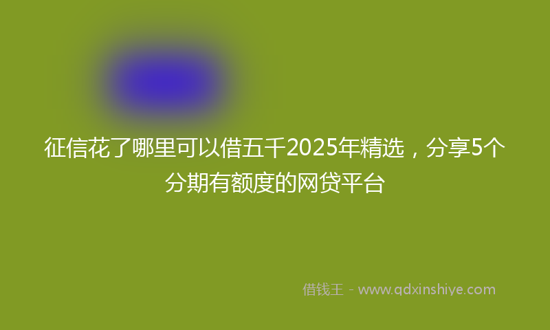 征信花了哪里可以借五千2025年精选，分享5个分期有额度的网贷平台