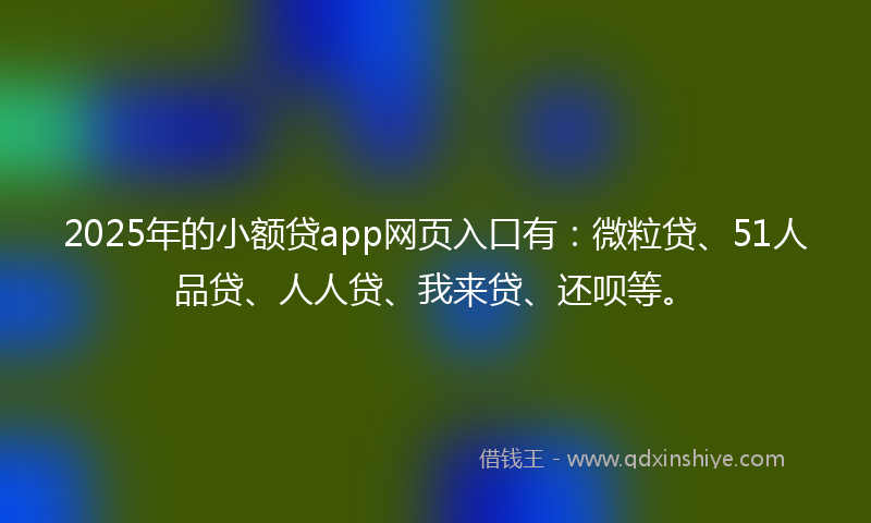 2025年的小额贷app网页入口有：微粒贷、51人品贷、人人贷、我来贷、还呗等。