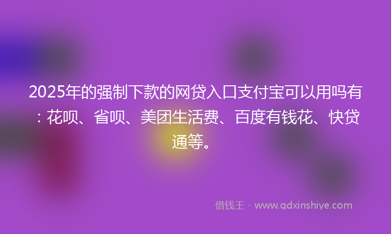 2025年的强制下款的网贷入口支付宝可以用吗有：花呗、省呗、美团生活费、百度有钱花、快贷通等。