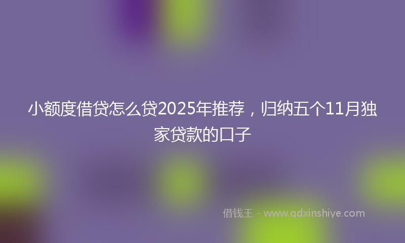 小额度借贷怎么贷2025年推荐，归纳五个11月独家贷款的口子