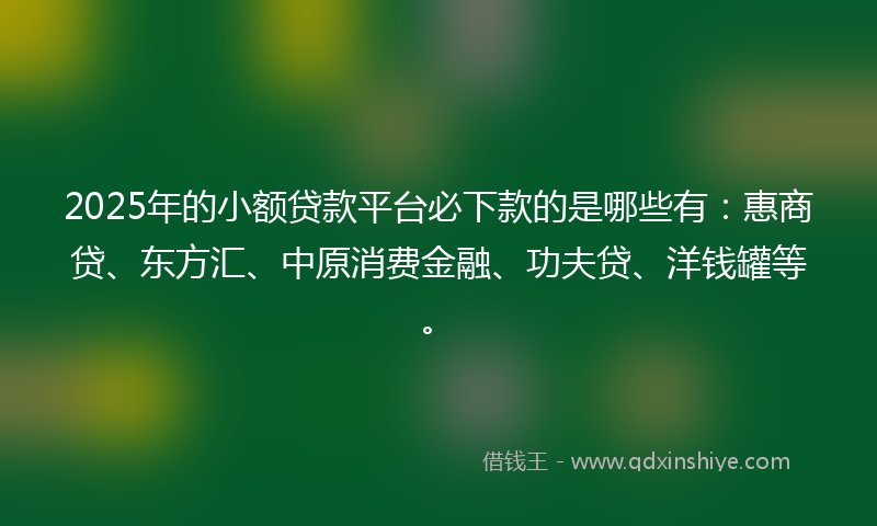 2025年的小额贷款平台必下款的是哪些有：惠商贷、东方汇、中原消费金融、功夫贷、洋钱罐等。