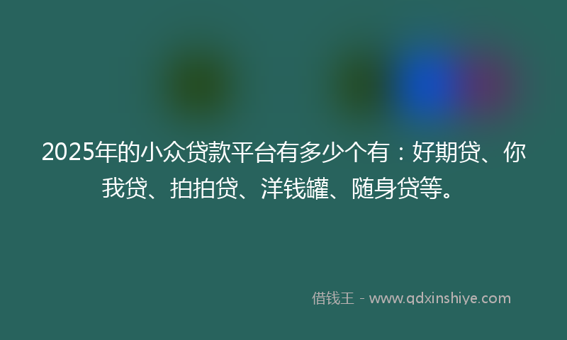 2025年的小众贷款平台有多少个有：好期贷、你我贷、拍拍贷、洋钱罐、随身贷等。