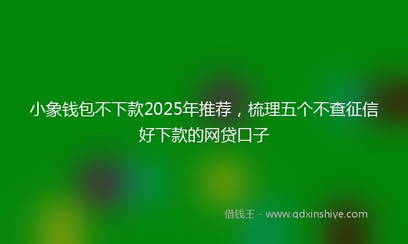 小象钱包不下款2025年推荐，梳理五个不查征信好下款的网贷口子