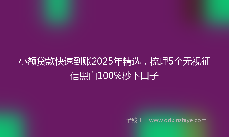 小额贷款快速到账2025年精选，梳理5个无视征信黑白100%秒下口子
