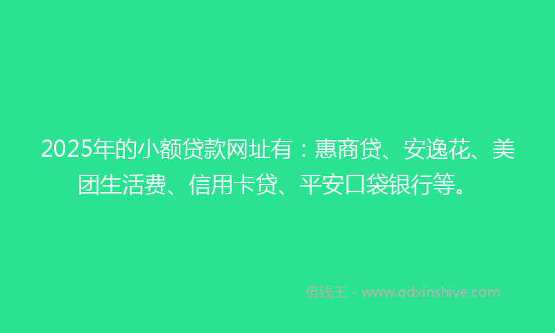 2025年的小额贷款网址有：惠商贷、安逸花、美团生活费、信用卡贷、平安口袋银行等。