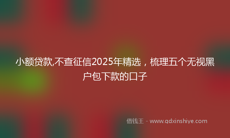 小额贷款,不查征信2025年精选，梳理五个无视黑户包下款的口子