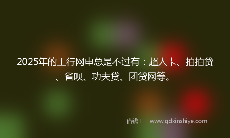 2025年的工行网申总是不过有：超人卡、拍拍贷、省呗、功夫贷、团贷网等。
