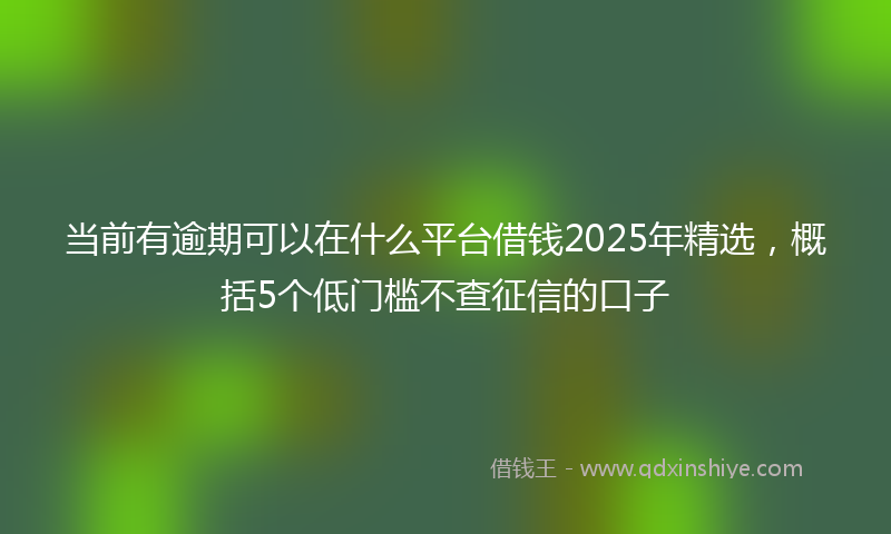 当前有逾期可以在什么平台借钱2025年精选，概括5个低门槛不查征信的口子