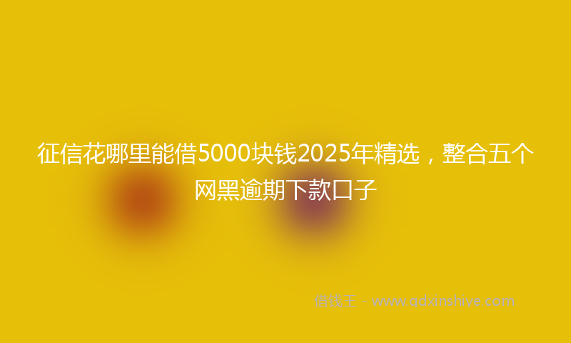 征信花哪里能借5000块钱2025年精选，整合五个网黑逾期下款口子