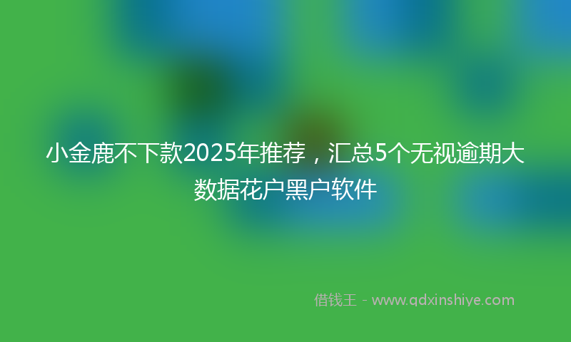 小金鹿不下款2025年推荐，汇总5个无视逾期大数据花户黑户软件