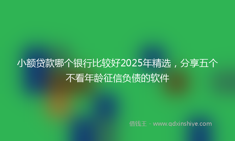 小额贷款哪个银行比较好2025年精选，分享五个不看年龄征信负债的软件