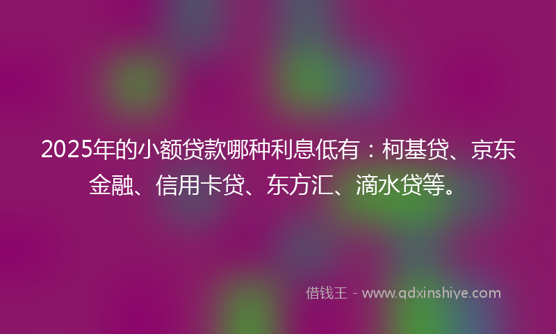 2025年的小额贷款哪种利息低有：柯基贷、京东金融、信用卡贷、东方汇、滴水贷等。