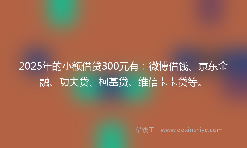 2025年的小额借贷300元有：微博借钱、京东金融、功夫贷、柯基贷、维信卡卡贷等。
