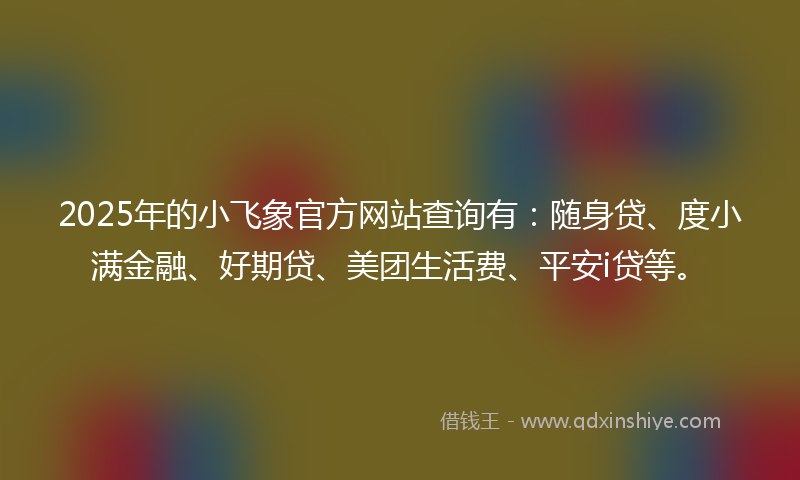 2025年的小飞象官方网站查询有：随身贷、度小满金融、好期贷、美团生活费、平安i贷等。