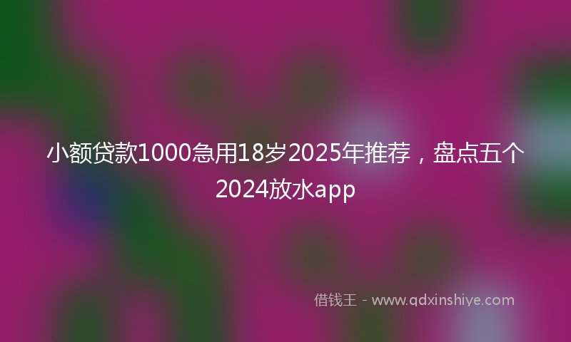 小额贷款1000急用18岁2025年推荐，盘点五个2024放水app