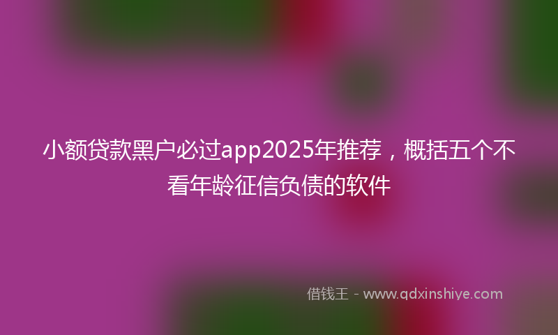 小额贷款黑户必过app2025年推荐，概括五个不看年龄征信负债的软件