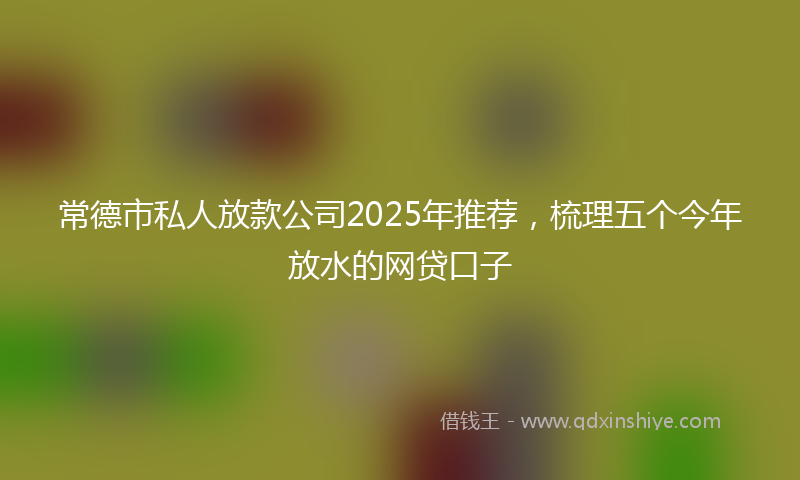 常德市私人放款公司2025年推荐，梳理五个今年放水的网贷口子
